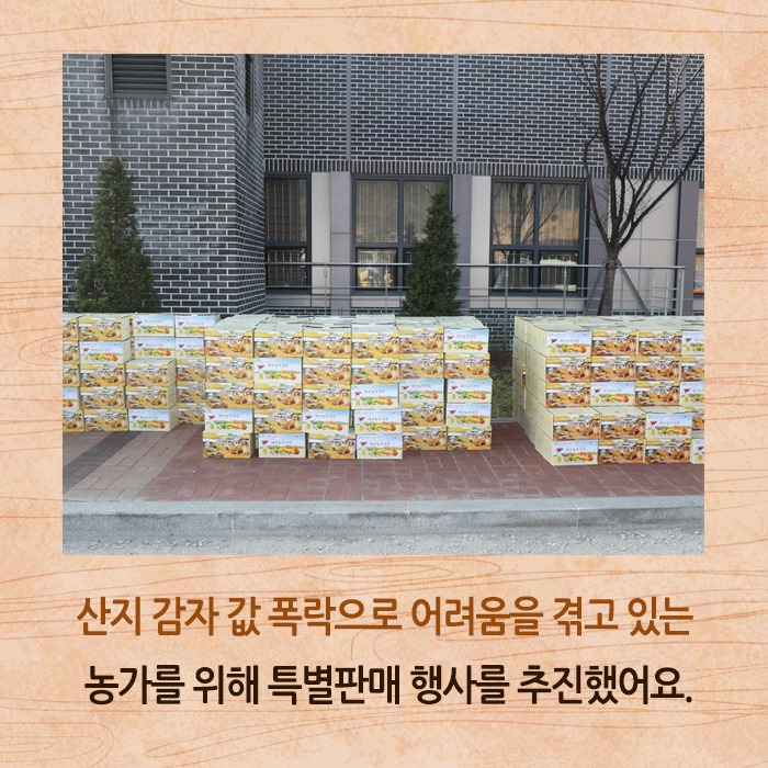 2.농가소득 증대를 위한 감자 특별판매 행사 추진